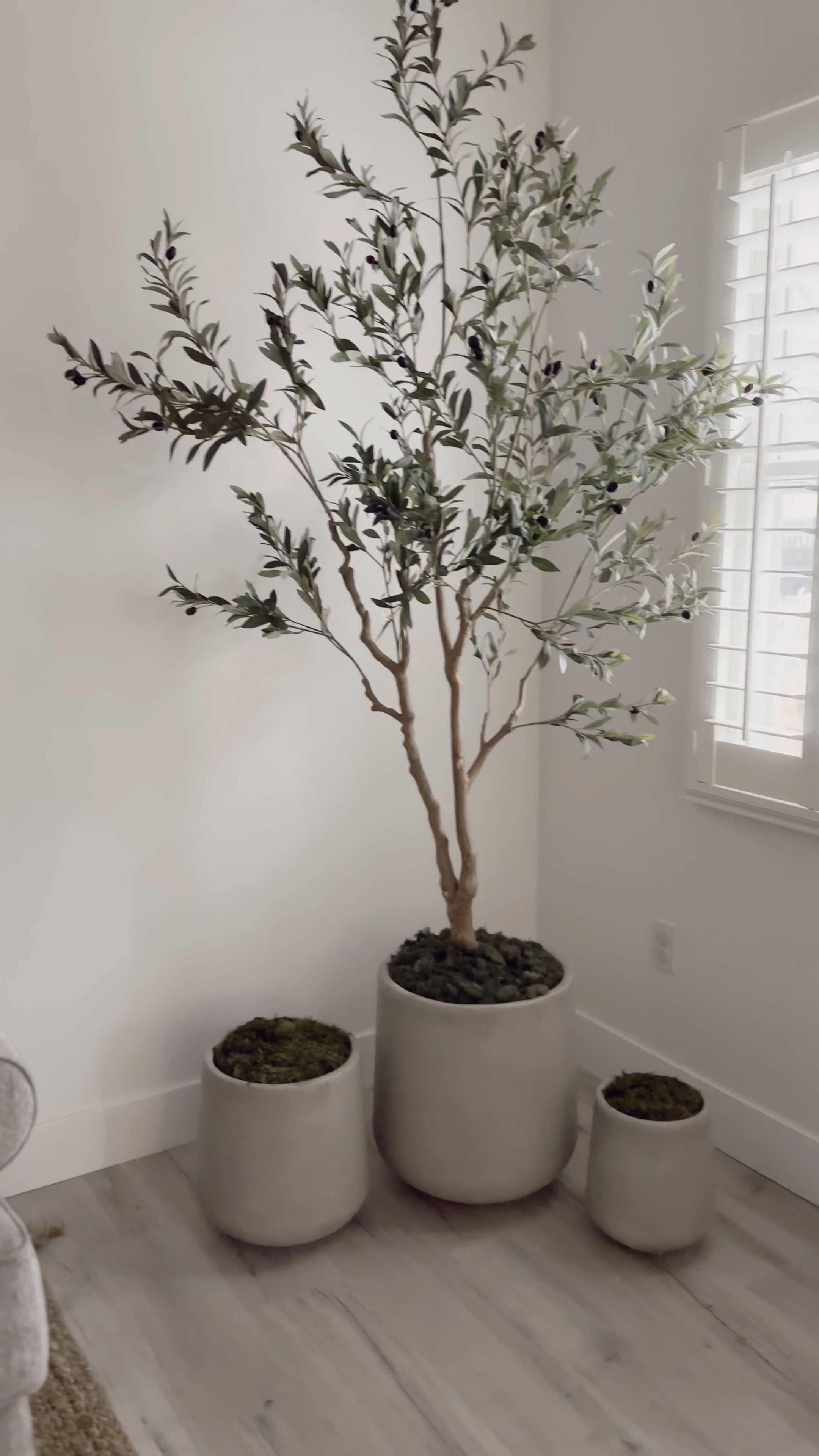  Realead 6ft Artificial Olive Tree, Tall Faux Olive