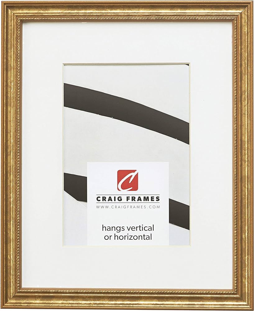 Craig Frames 314GD 22 x 28 Inch Ornate Gold Picture Frame Matted to Display an 18 x 24 Inch Photo | Amazon (US)