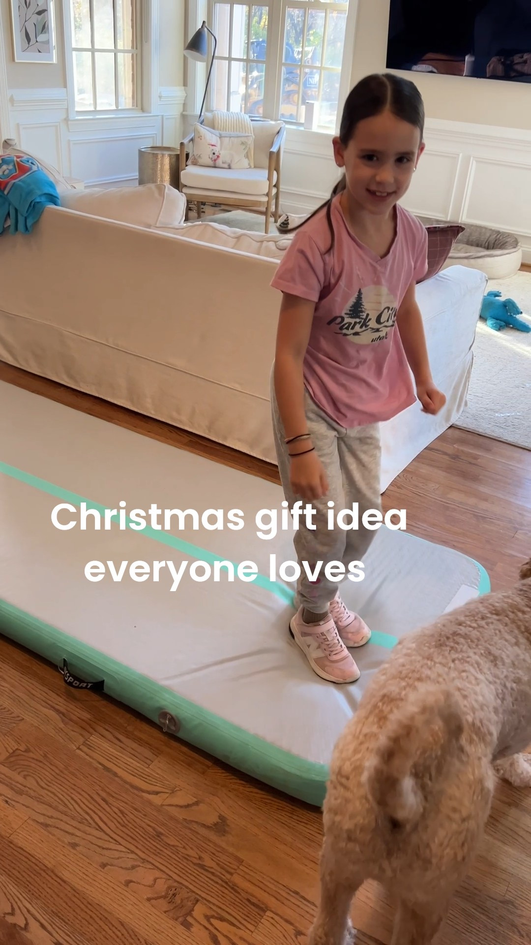 9ft option. Kids got this last year and it’s well loved! We use it indoors and out! #giftsforkids 

#LTKHoliday #LTKKids #LTKGiftGuide