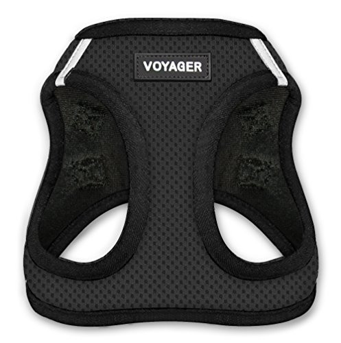 Voyager Step-In Air Dog Harness - All Weather Mesh Step in Vest Harness for Small and Medium Dogs by | Amazon (US)