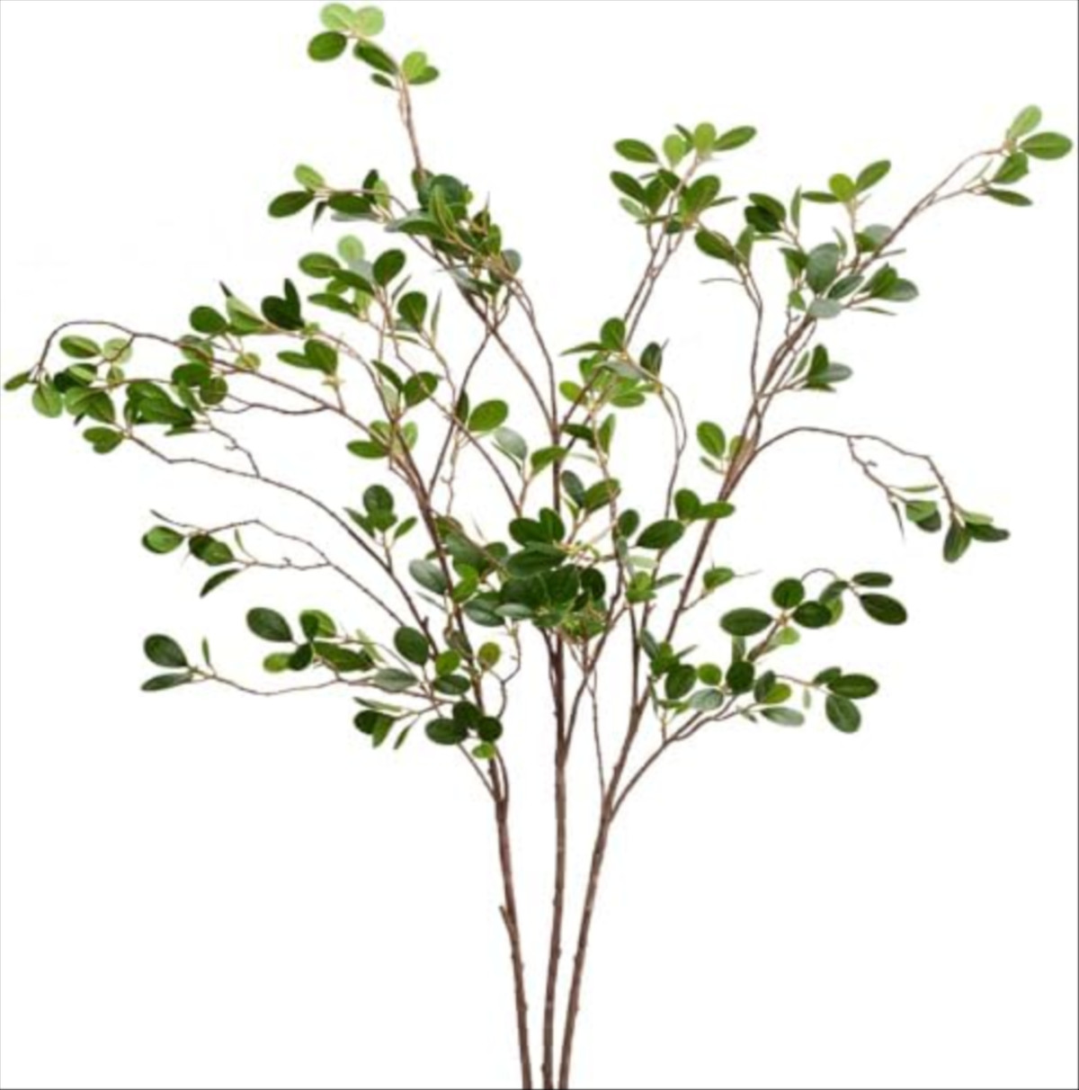 Faux Greenery Stems, Set of 3, from Amazon