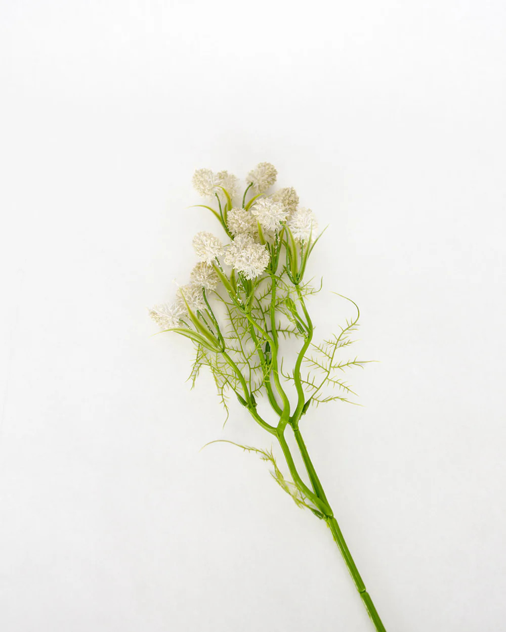 Meadow Thistle Bush | Elements by Remedy