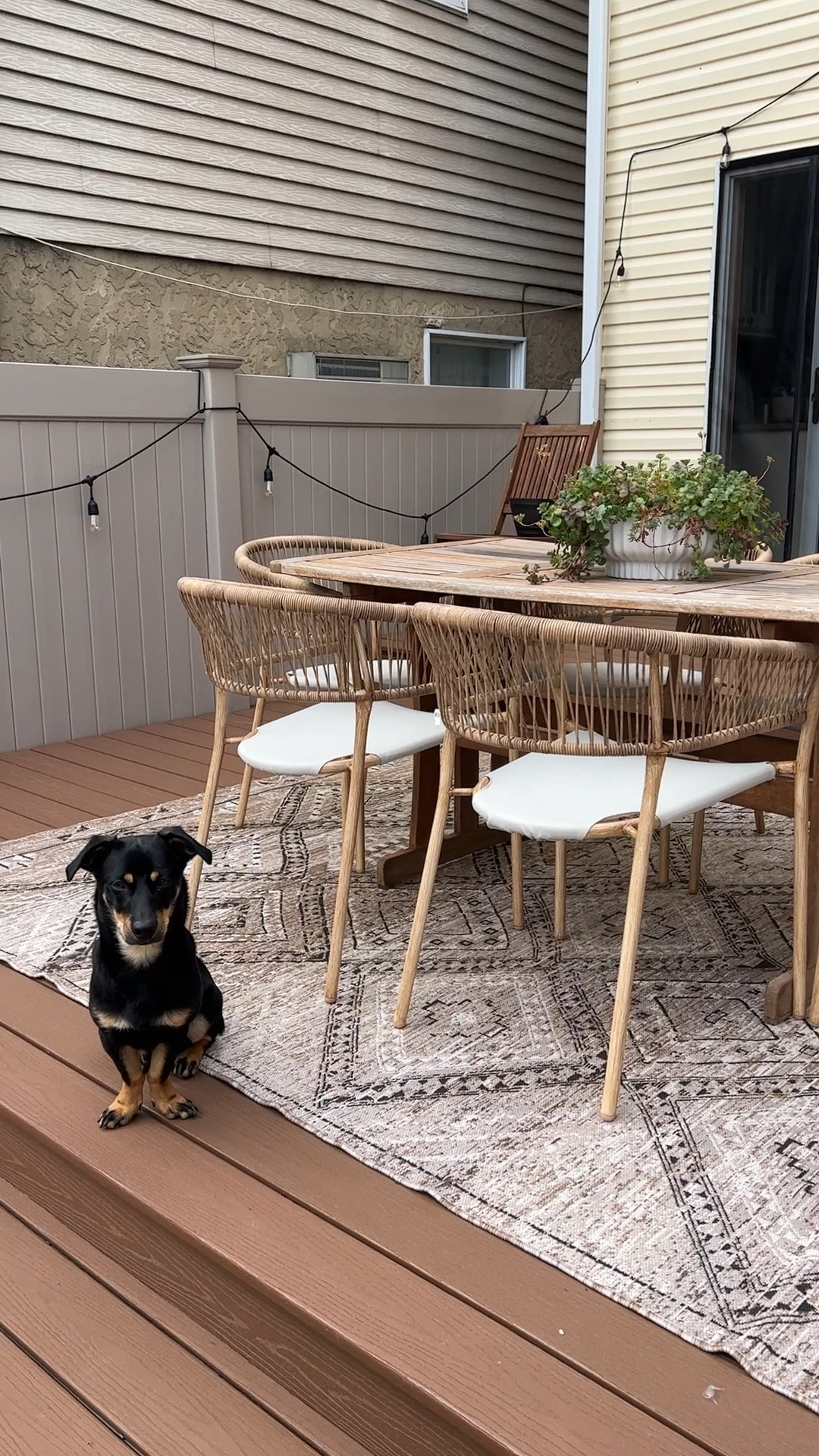 Amazing outdoor dining chairs from at home! Paired them with my old table and voilà! My dog chef also approves. 


#LTKunder100 #LTKhome