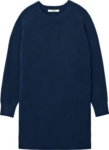 Long Sleeve Wool Sweater Dress | Nordstrom