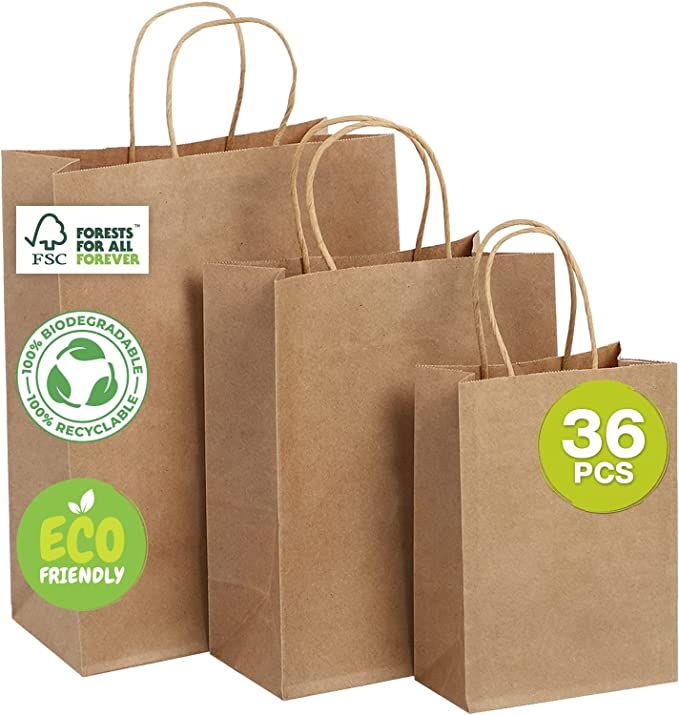 Packanewly Kraft Paper Bags with Handles, 36 PCS Brown - Eco-Friendly Gift Bags - Mixed Sizes: Sm... | Amazon (US)