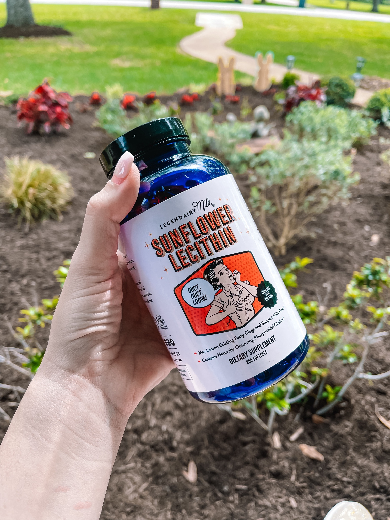 Sunflower lecithin for clogged / plugged milk ducts 