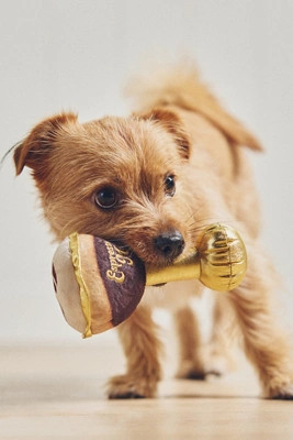 Haute Diggity Dog Beverage Dog Toy | Anthropologie (US)
