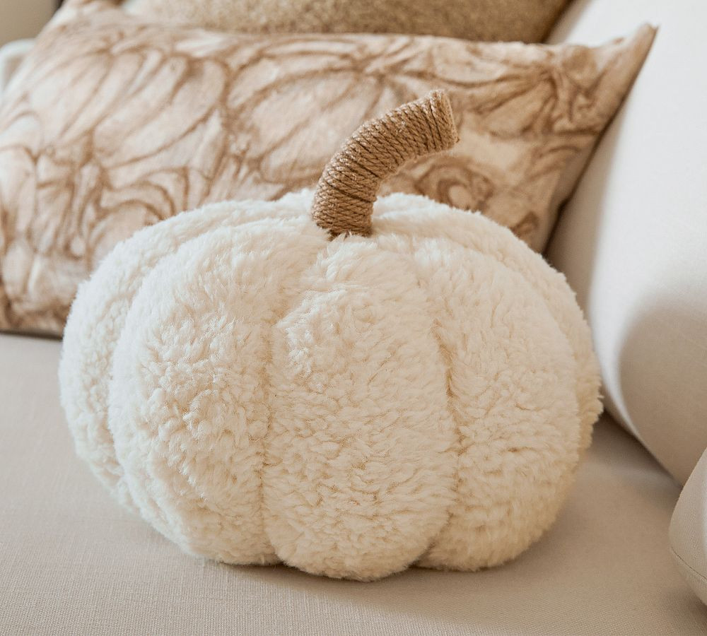 Cozy Pumpkin Pillow | Pottery Barn (US)
