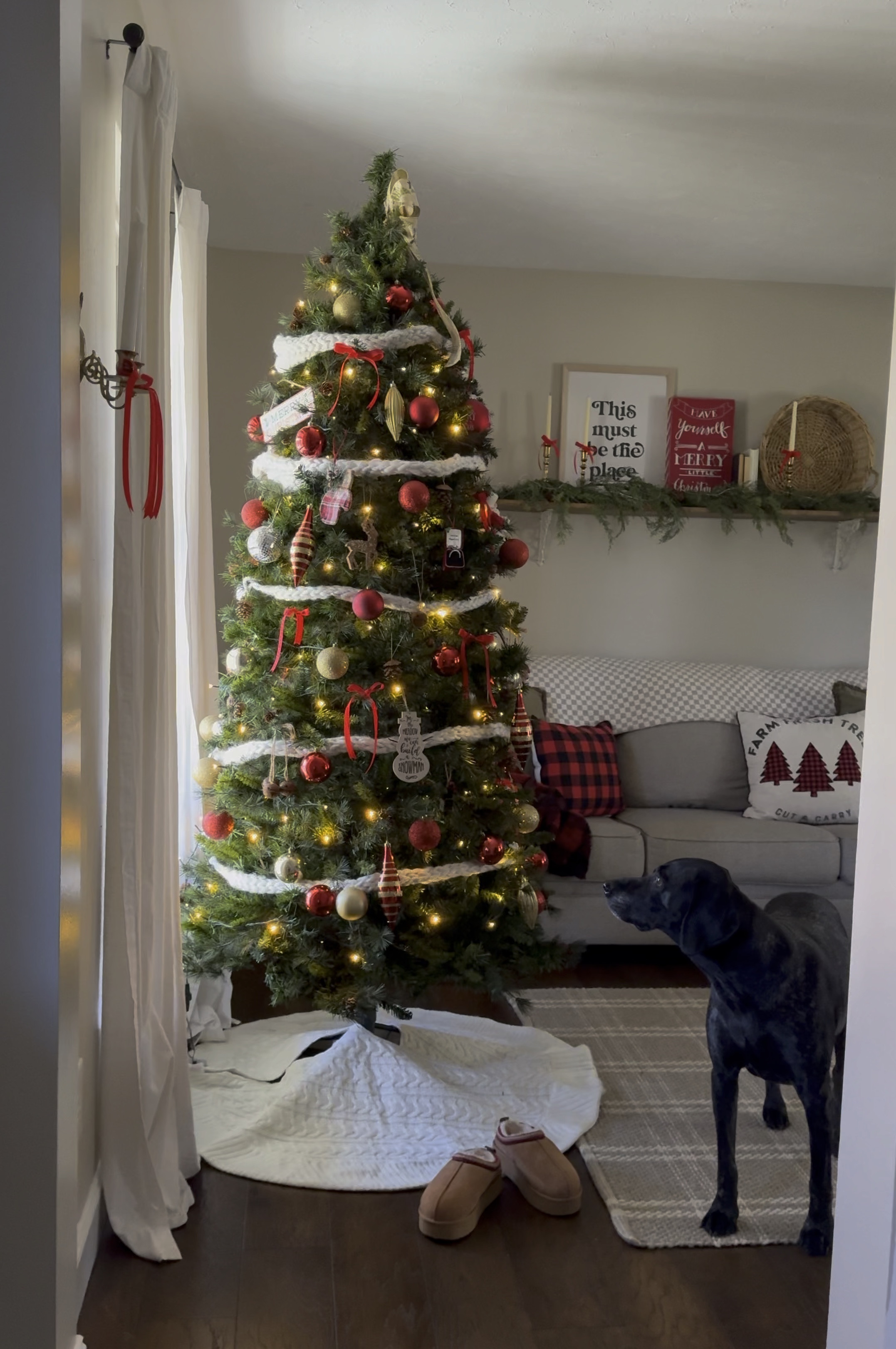 No need to buy a new tree, I just added these string lights to the tree I’ve had for years. You could even add these to a prelit tree. All about saving money and using what you have! 

These lights have 8 flashing modes with a remote and you can also dim the lights! The string lights come in a few different colors warm white, cool white and multicolored string lights. I chose warm white  ! 

#amazonholiday #amazonfind #amazonchristmas #cozychristmas #twinklelights | twinkle lights Christmas tree | Christmas tree lights | string twinkle lights | Christmas home

#LTKVideo #LTKHoliday #LTKHome