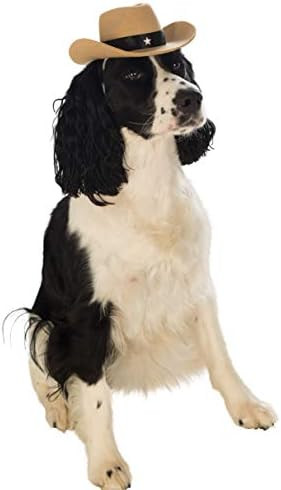 Rubies Costume Co Cowboy Hat Pet Costume Accessory, Medium/Large, Brown | Amazon (CA)