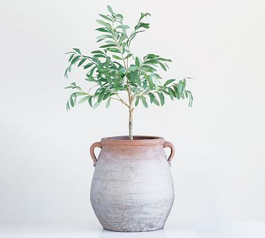 Ray Terracotta Urn | Pottery Barn (US)