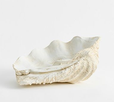 Shell Coral | Pottery Barn (US)