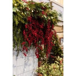 RED BERRY HANGING VINE 48" | Gatehouse No.1