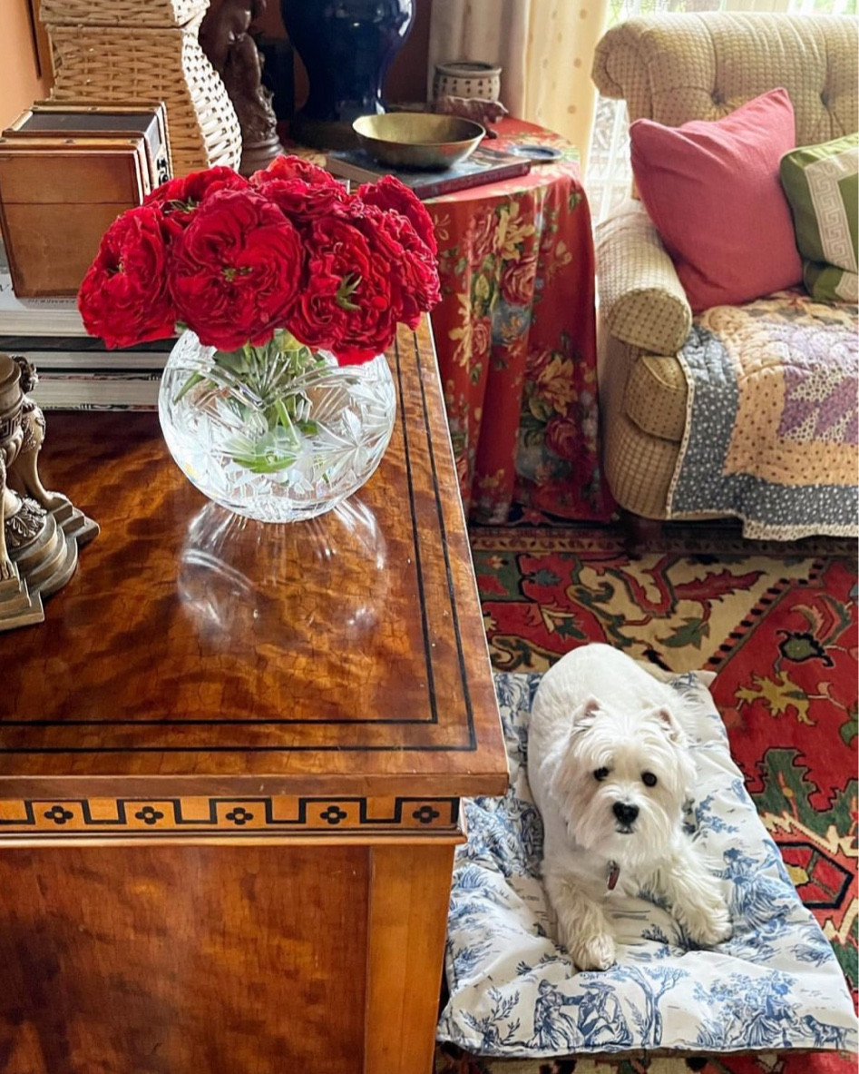 If you don’t have a crystal rose bowl, you need to add one to your vase collection. So versatile - not just for roses! Easy to create a formal or informal arrangement and it definitely elevates grocery store blooms (seen here!) 
If you have a dog and didn’t get him or her a new bed, how about a blue toile one? 
And an antique piece of brown furniture elevates your room. Finds piece you love. Added a few suggestions...

#LTKSeasonal #LTKhome #LTKstyletip