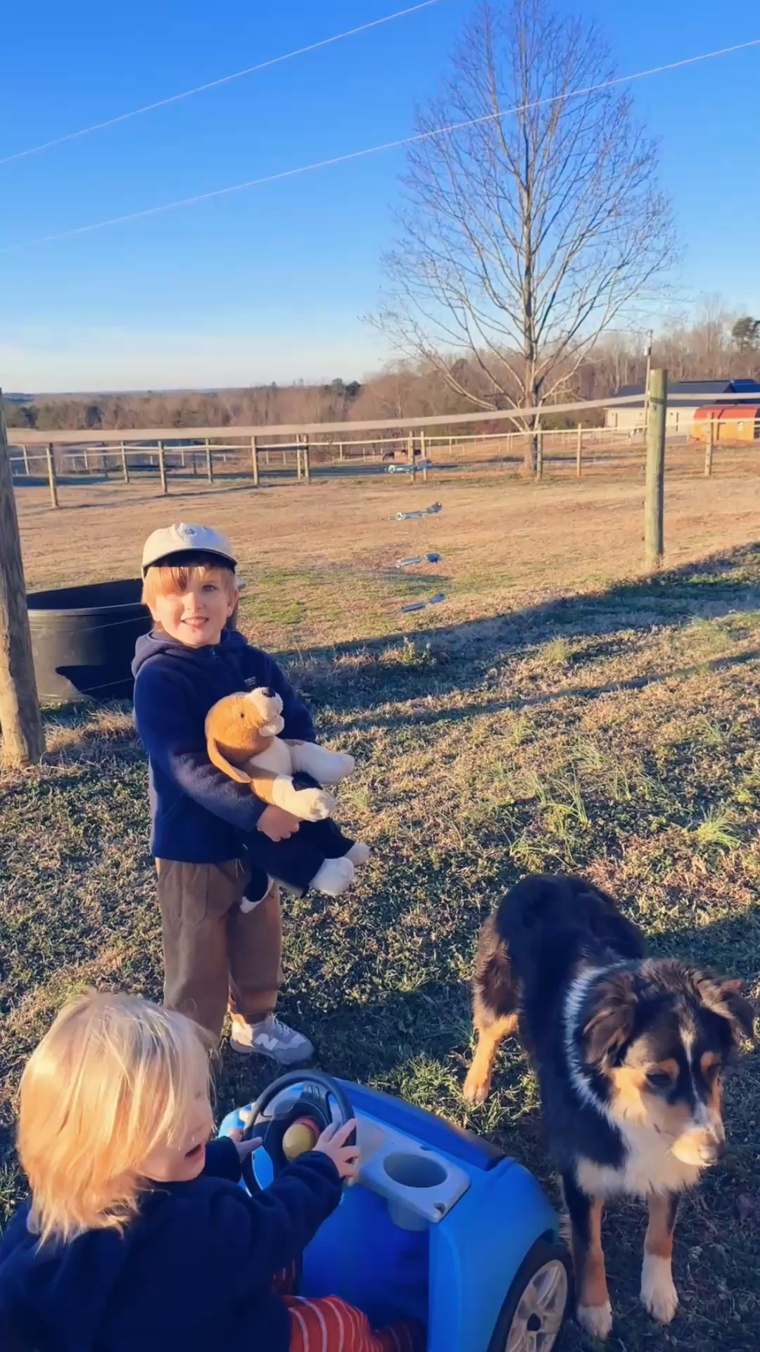 Mornin’ walk as the sun is coming up!!! ☀️🐓🌳🌅🌾