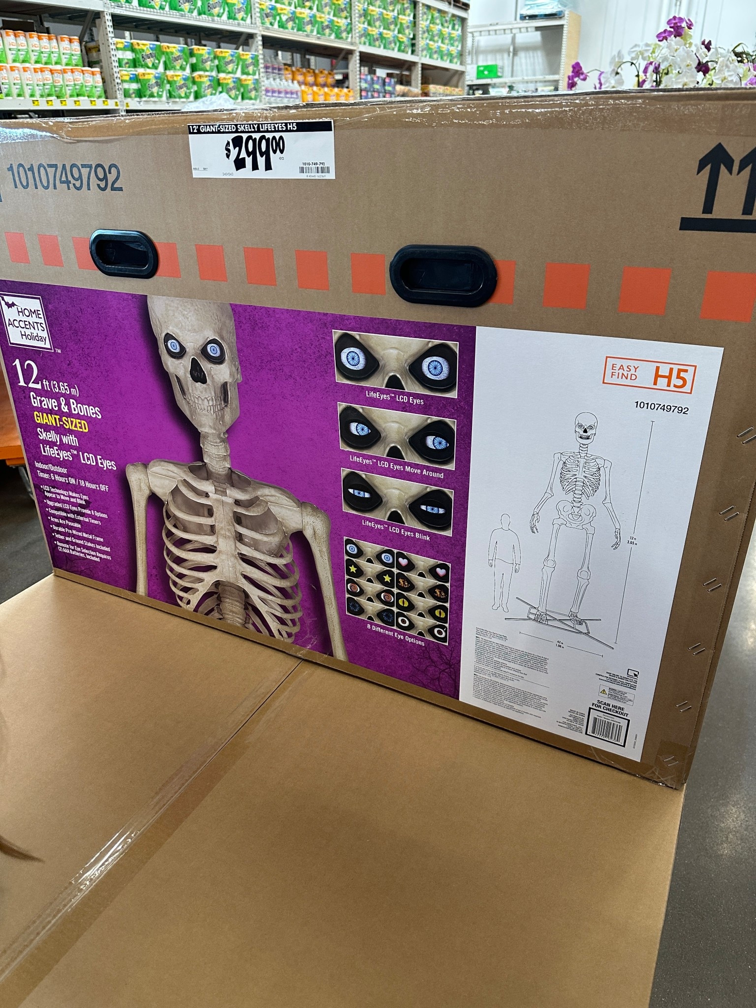 12 Foot Grave and Bones Giant Skelly Skeleton 

#LTKHome #LTKParties #LTKSeasonal