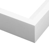 Canvas Frame | Urban Garden Prints