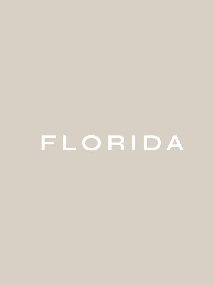 Florida: decorative coffee table book, 8.25x11” for bookshelves, home decor, display, staging | Amazon (US)