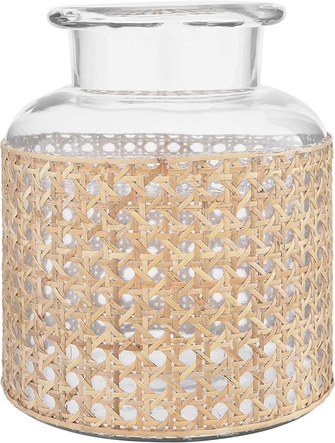 Bloomingville 8" H Glass Decorative Cane Sleeve Vase, Clear | Amazon (US)