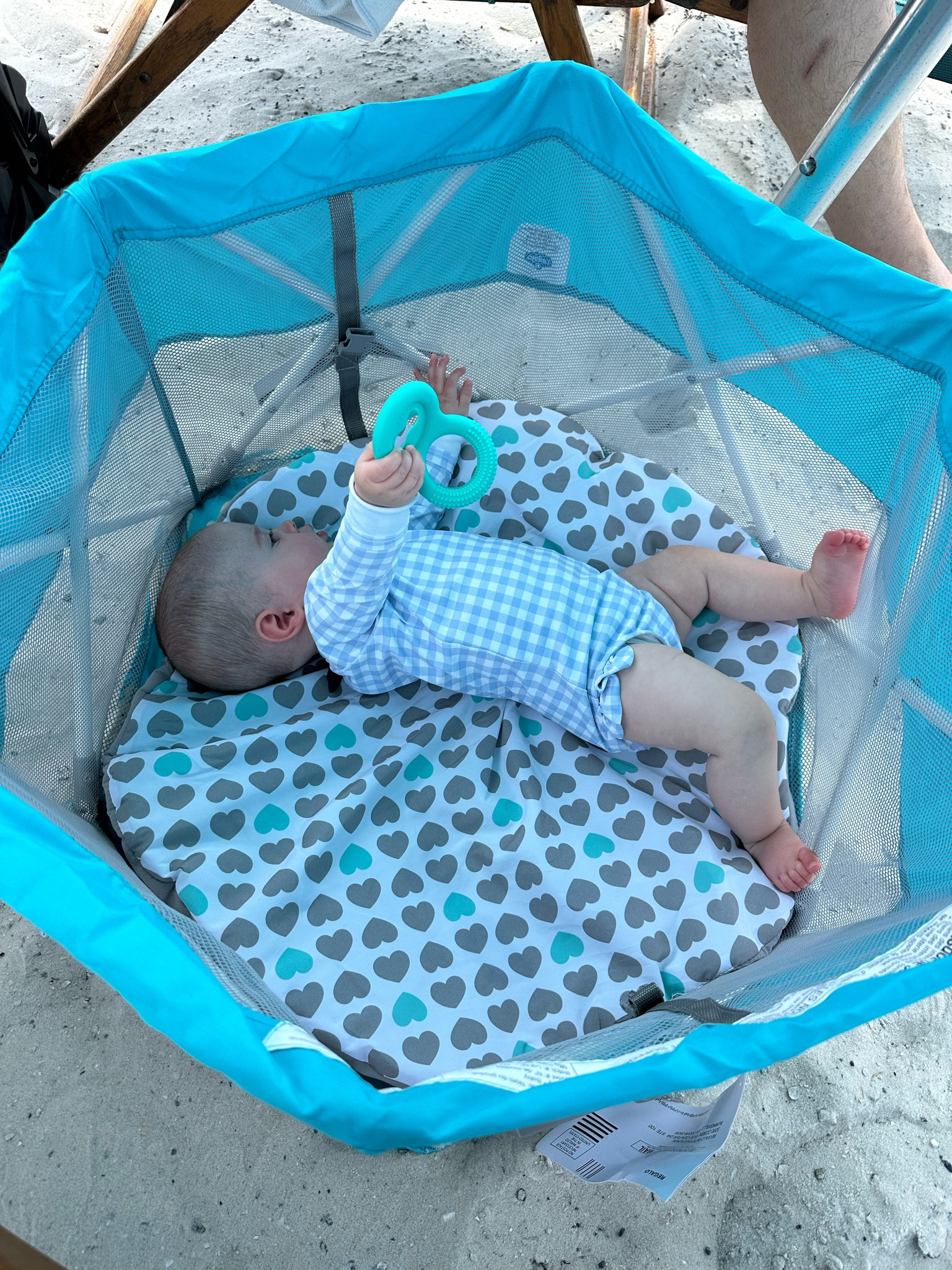 Beach/pool necessity. My daughter is 6 months old  

#LTKFamily #LTKSwim #LTKBaby