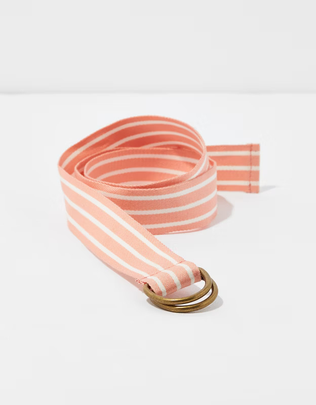 AEO Striped Web Belt | American Eagle Outfitters (US & CA)