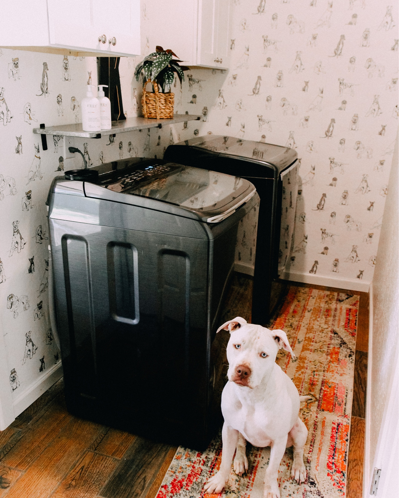 5 year ago and still in love with this dog wallpaper from Anthropologie!
I actually love my Landry room, it’s so cute!
Laundry room decor, matching machine, Samsung dryer, runner rug, laundry room rug, dog decor, laundry room wallpaperr

#LTKHome #LTKPets