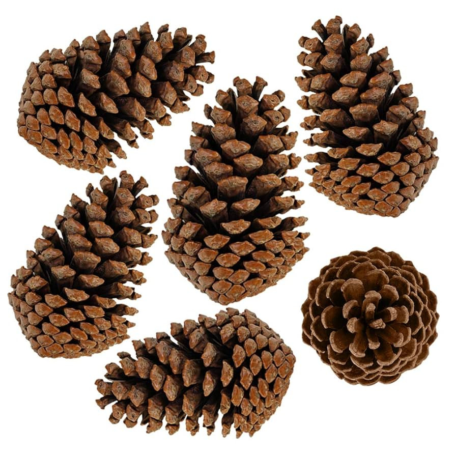 Supla 6 PCS 5"- 6" Tall Natural Pinecones Giant Pine Cones Large Pinecone Ornaments Real Preserve... | Amazon (US)