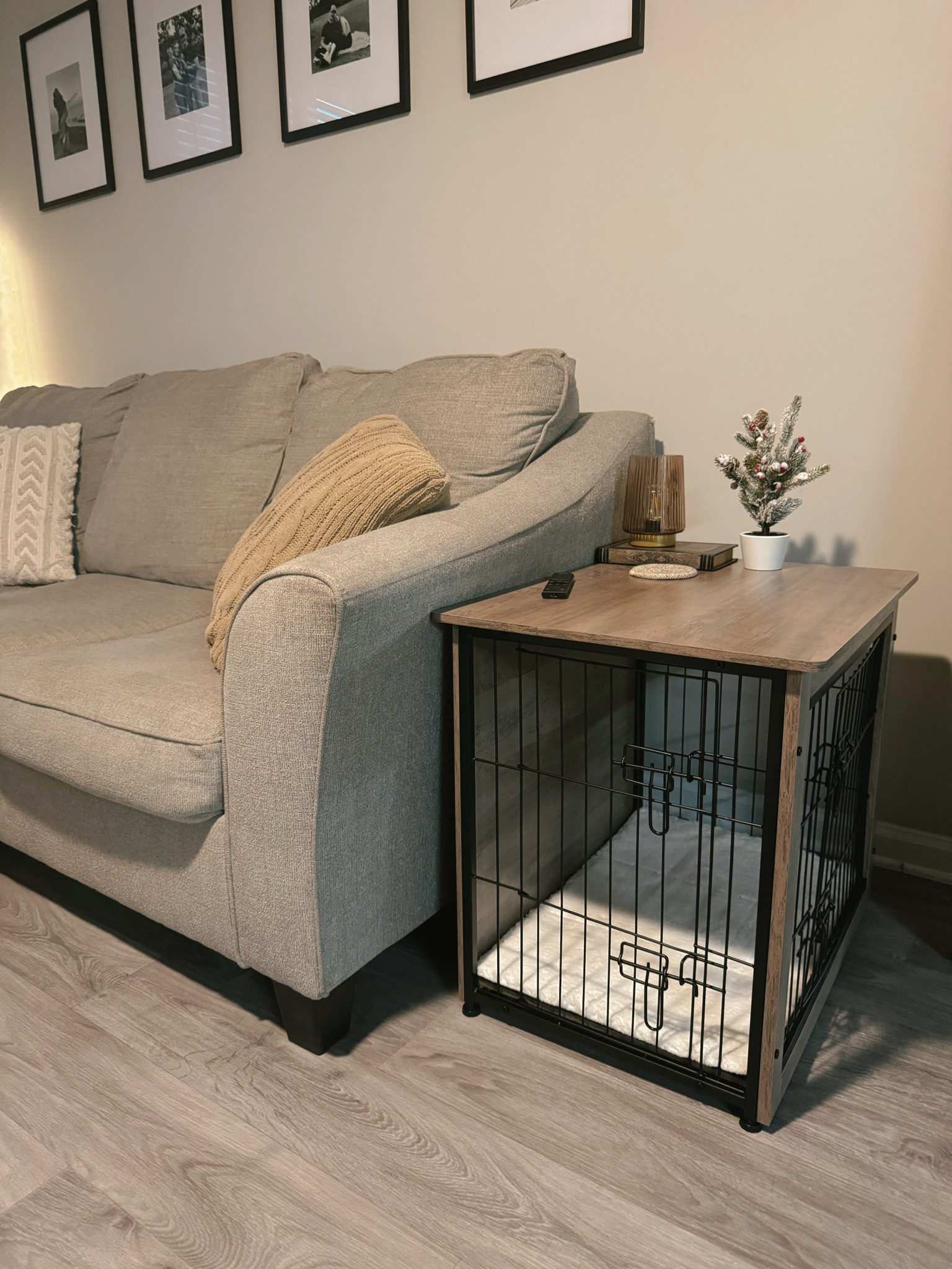 Obsessed with this new dog crate that doubles as a side table 🐶🐾

#LTKGiftGuide #LTKSaleAlert #LTKHome