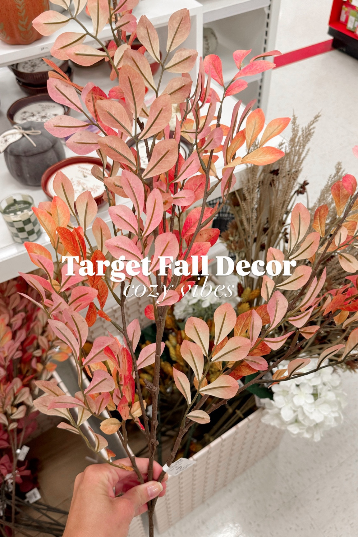 Found some cozy fall decor at target 

#LTKHome #LTKFindsUnder50 #LTKSeasonal