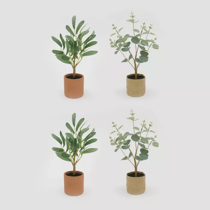 4pk Tree Eucalyptus & Olive - Bullseye's Playground™ | Target