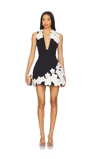 Estelle Mini Dress | Revolve Clothing (Global)