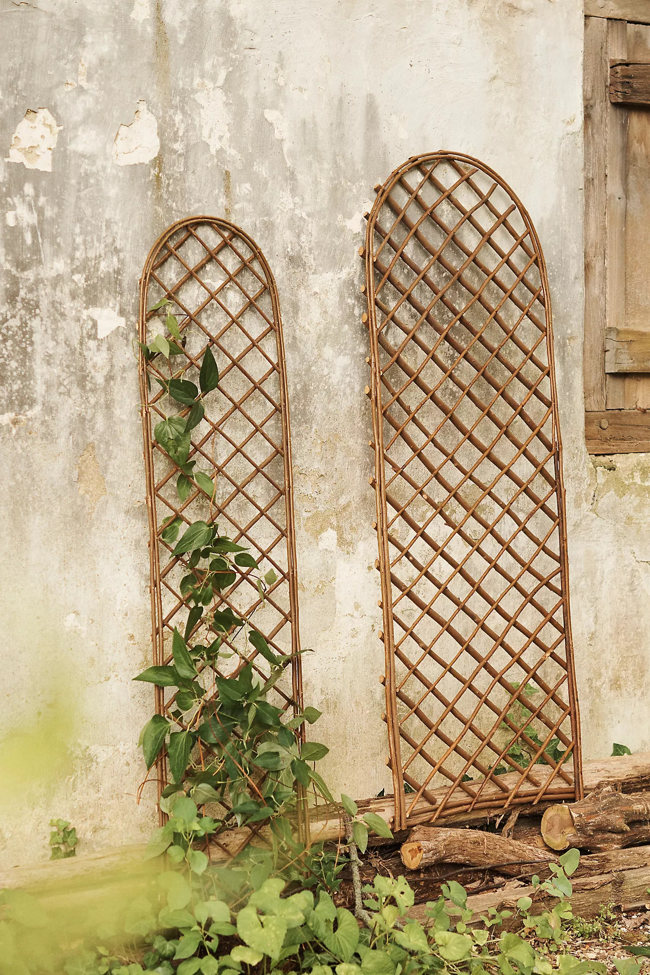 $98.00 | Anthropologie (US)