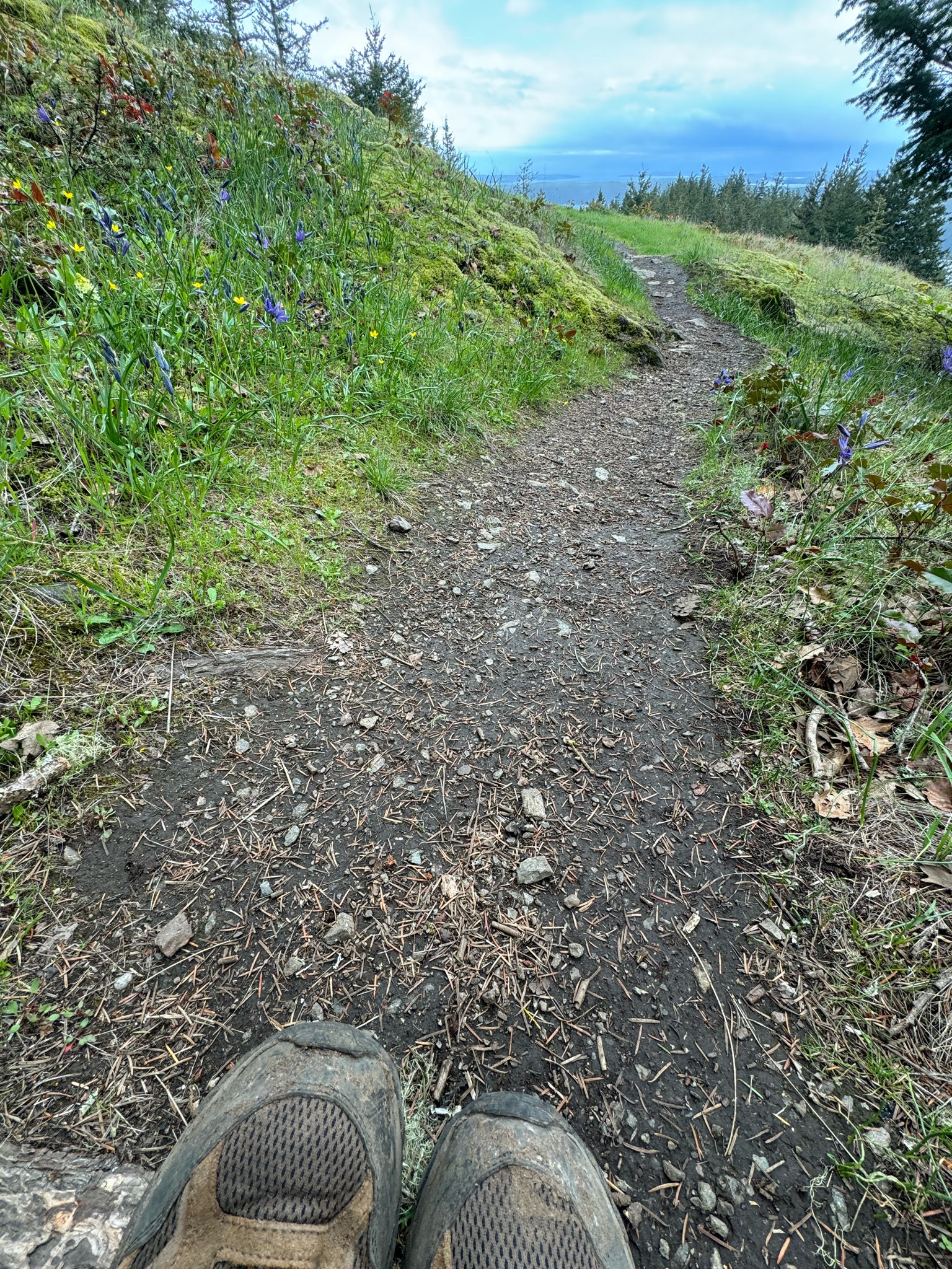 Great hiking gearr