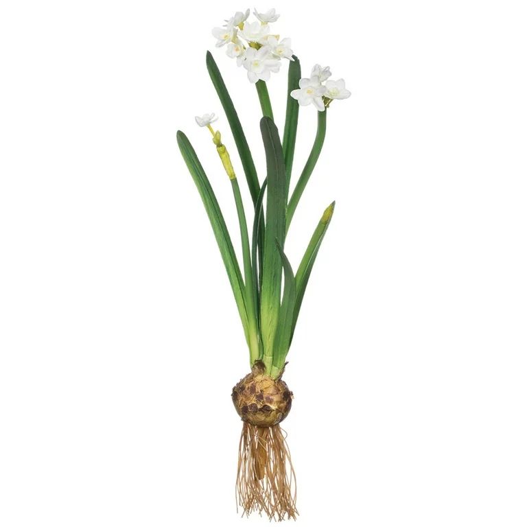 Sullivans Artificial Paperwhite With Bulb Stem 20"H White | Walmart (US)