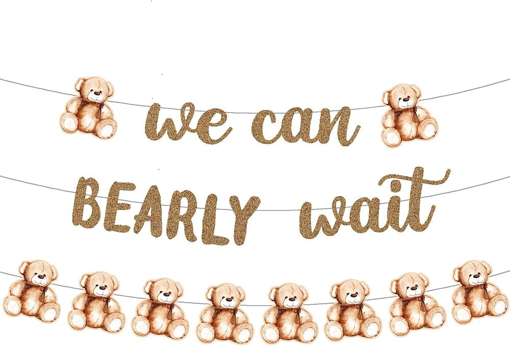 Decpty We Can Bearly Banner Teddy Bear Baby Shower Party Supplies Decorations Photo Prop for Boy ... | Amazon (US)