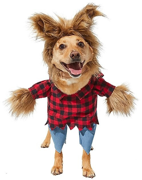 FRISCO Front Walking Werewolf Dog & Cat Costume, Large - Chewy.com | Chewy.com