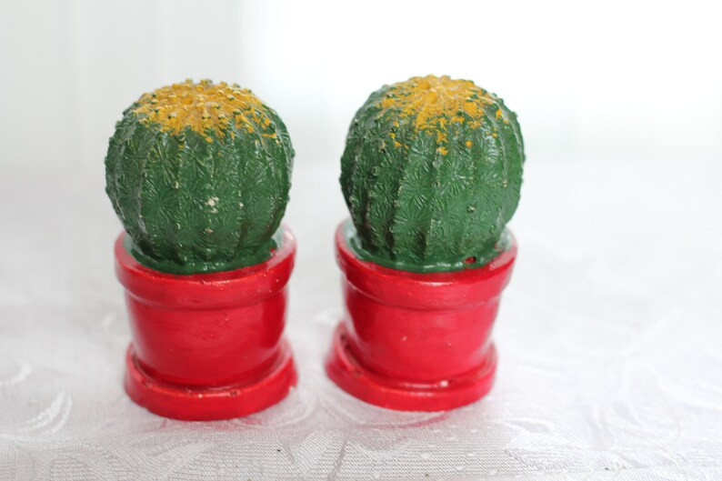 Vintage Green Cacti in Red Pots Salt & Pepper Shakers Mexico - Etsy | Etsy (US)