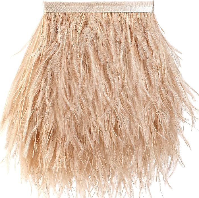 Soarer Champagne Feathers Fringe Trim - 2Yards 5-7inch Ostrich Feathers for DIY Sewing Clothing,J... | Amazon (US)