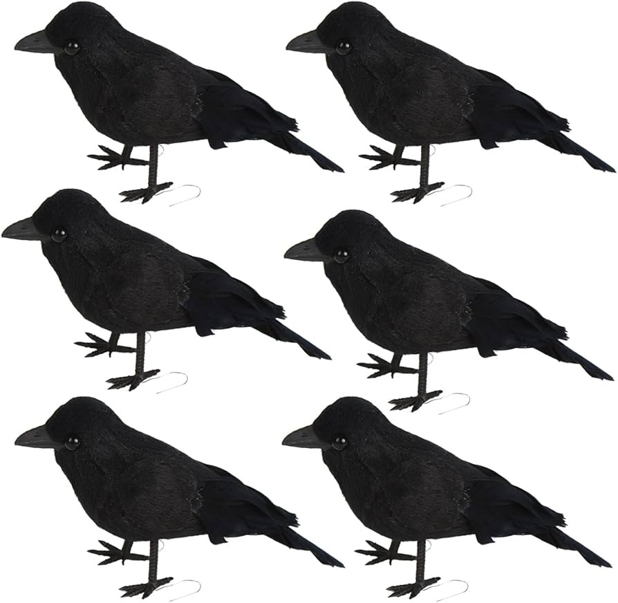CCINEE Halloween Black Crows,Realistic Feathered Crow Ravens Prop for Indoor Outdoor Halloween Pa... | Amazon (CA)