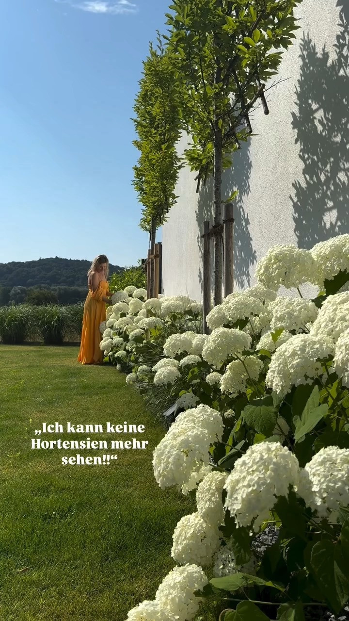 ❤️ 

 

#LTKdeutschland #LTKsummer #LTKstyletip