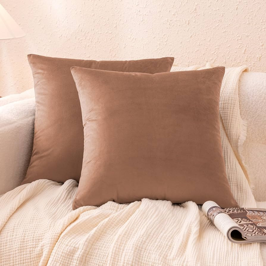 Amazon Basics Velvet Throw Pillow Covers, Soft Decorative Square Cushion Cases Modern Home Decor ... | Amazon (US)