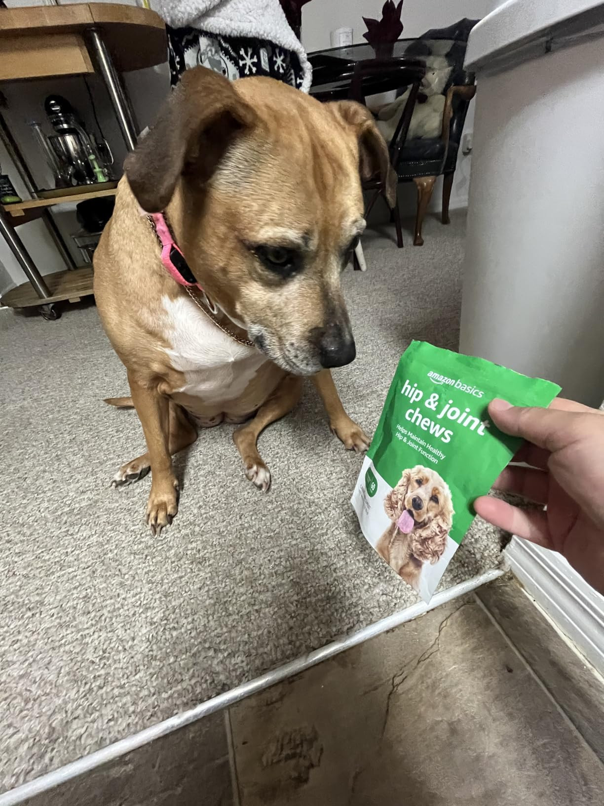 Amazon Basics Dog Hip & Joint Daily Supplement Chews with Glucosamine, MSM, and Vitamin C, Duck F... | Amazon (US)