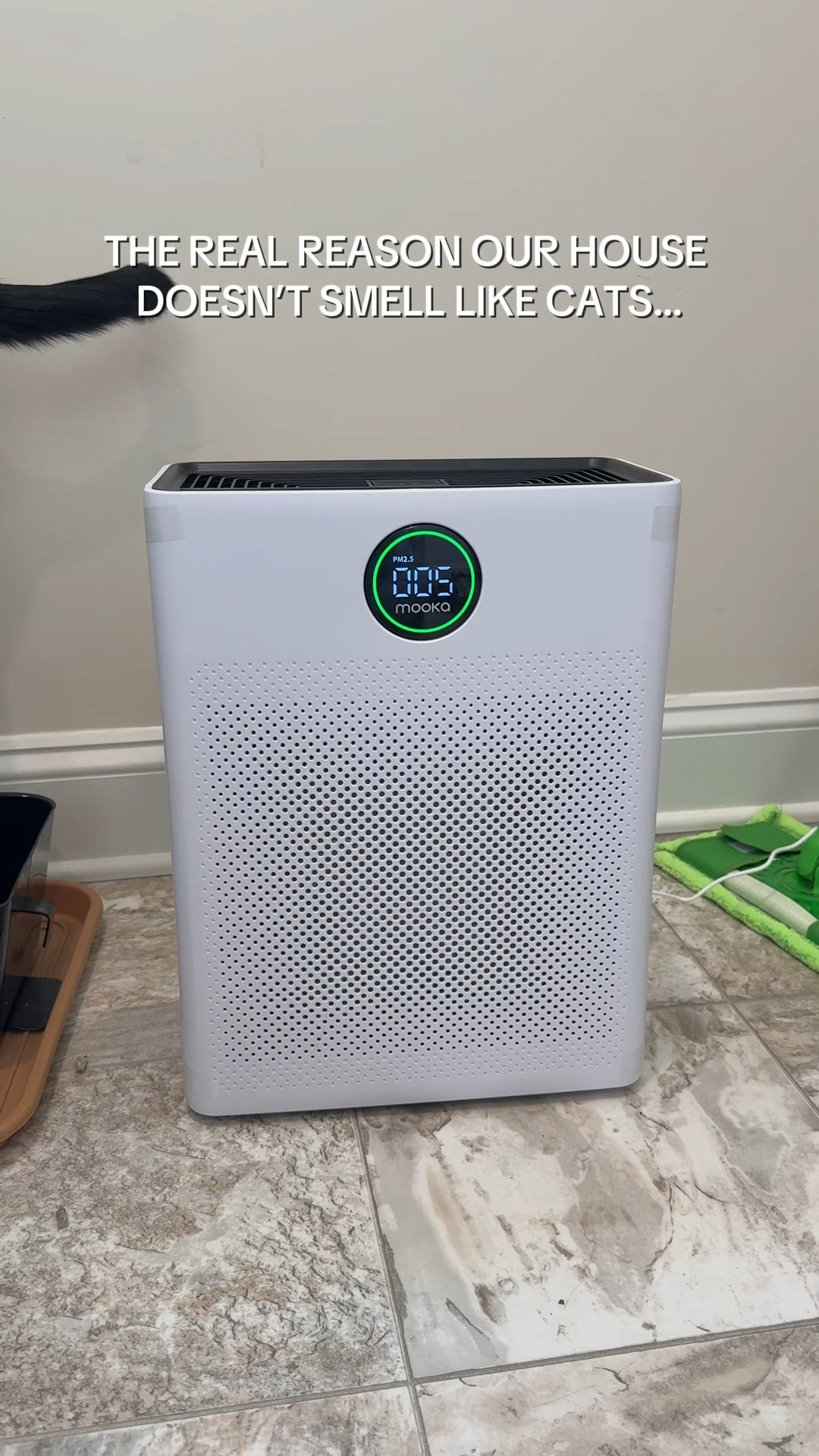 If you have cats, this is your sign to get an air purifier 🐈✨ We placed this air purifier right next to the litter box and it completely eliminated cat smells, litter box odors, and pet dander from our home. If you’re looking for the best air purifier for pet owners, this one has been a total game-changer for keeping our house smelling clean and fresh.

#LTKmorningroutine #LTKHome #LTKmomlife