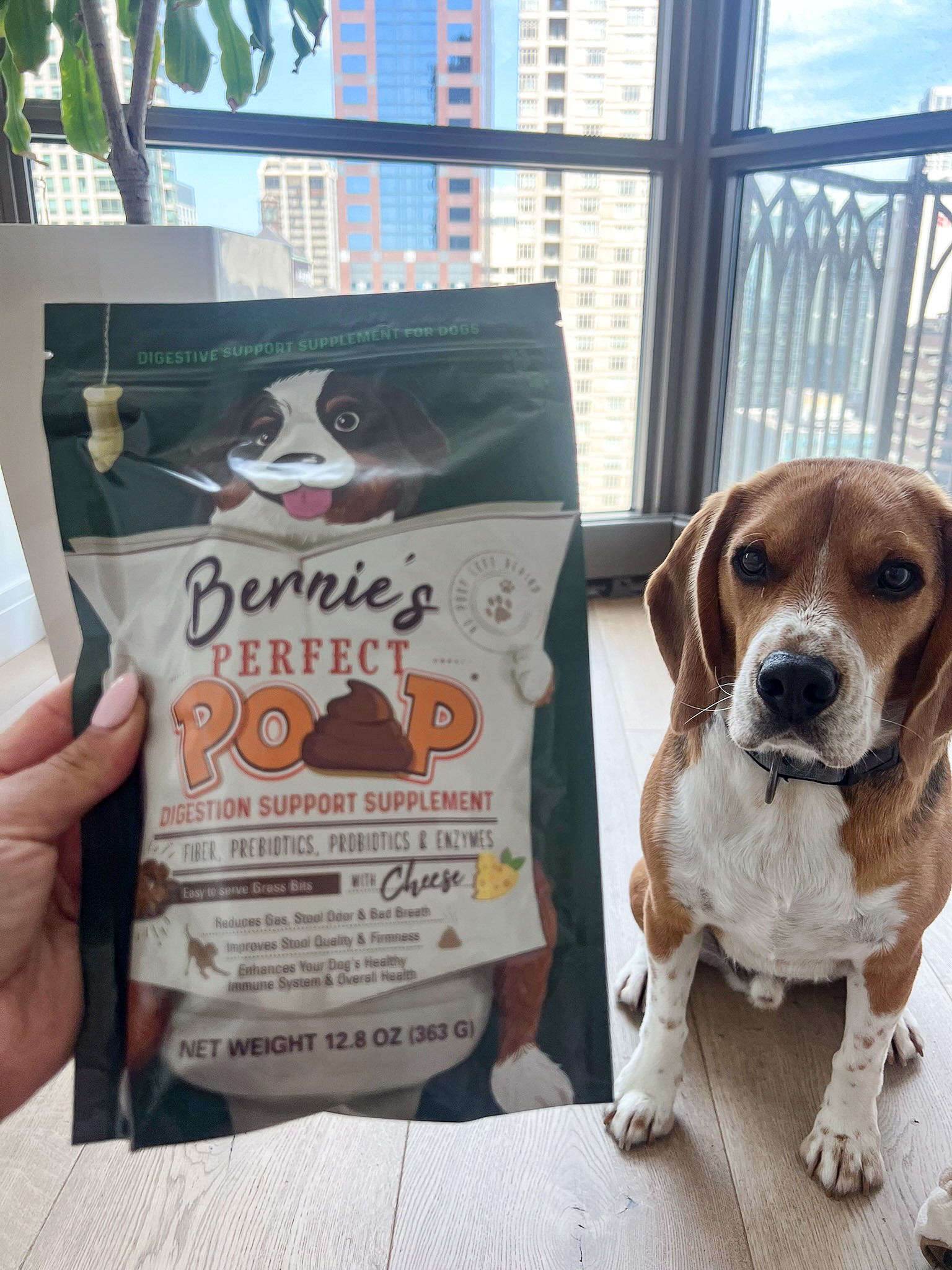 Support your pup’s tummy the easy (and healthy) way 🐶✨ with this Perfect Poop digestion & general health supplement for dogs! Formulated to support gut balance, digestion, and stool quality, it helps keep your furry friend feeling comfortable and regular every day 💖🐾. Perfect for daily use, especially for dogs with sensitive stomachs or needing extra digestive support 👀✨. Trust me, this is one simple routine your pup will benefit from 💕

#dogsupplements #doghealth #petwellness #digestion #guthealth #healthypets #dogcare #petessentials #furbaby #petparents #dognutrition #happydog #petcare #dailycare #doglife #wellnessforpets #ltkpets #ltkfinds #petmusthaves #doglovers #petinspo #healthyhabits #petlifestyle 

 