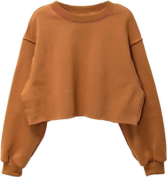 Amazhiyu Women Cropped Sweatshirt Long Sleeves Pullover Fleece Crop Tops | Amazon (US)