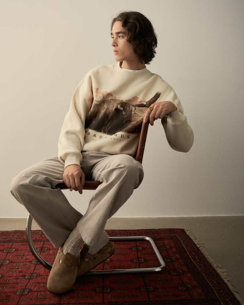 Badlands Graphic Crew Sweatshirt | Abercrombie & Fitch (US)