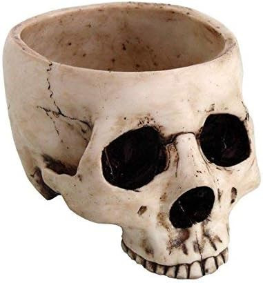 Skeleton Skull Medium Kitchen Bowl Figurine | Amazon (US)