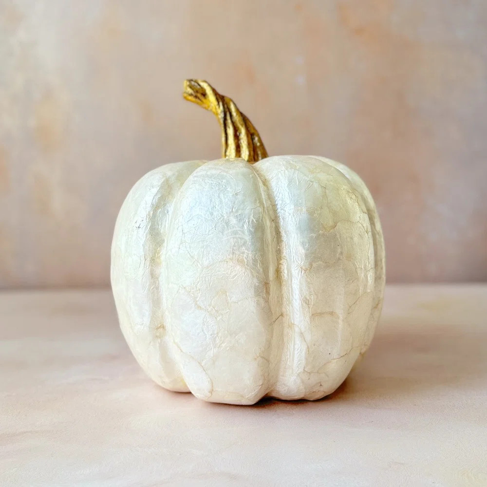 The Holiday Aisle® Capiz Ivory Pumpkin | Wayfair | Wayfair North America