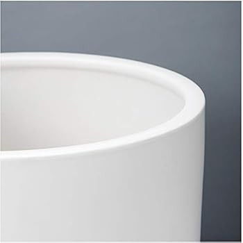 FOPAMTRI 6 Inch Plant Pot Matte White Ceramic Planter for Indoor Outdoor Plants Flowers Small Mod... | Amazon (US)
