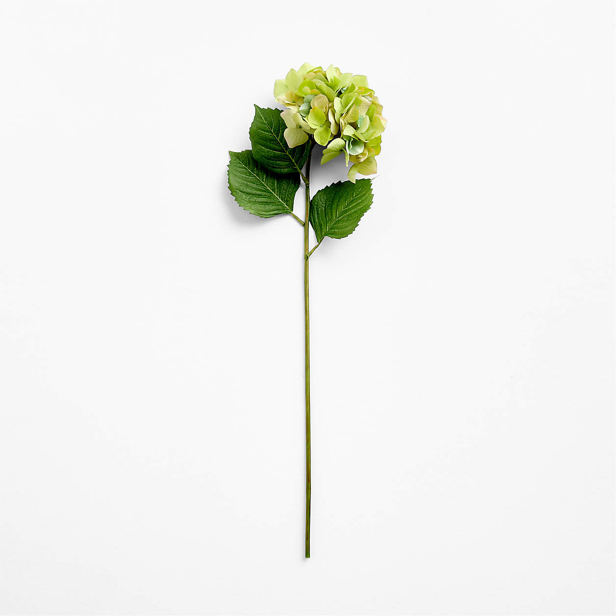 Faux Green Hydrangea Stem 30" | Crate & Barrel | Crate & Barrel